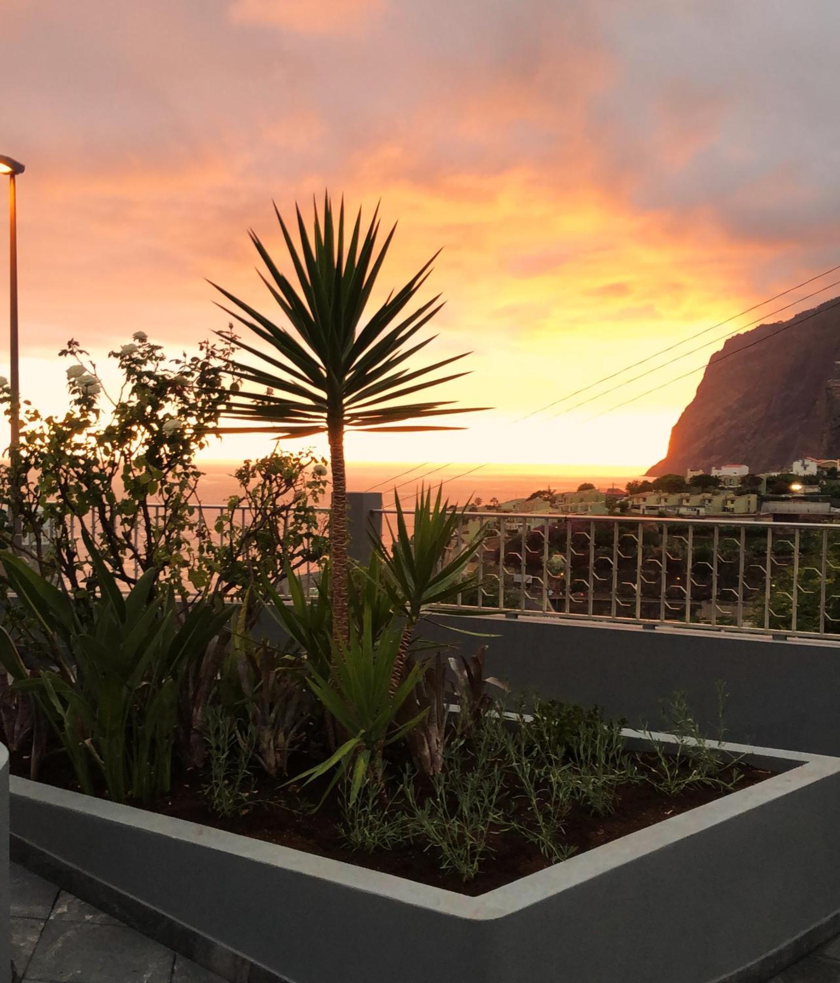 Oasis Suites - Funchal Kültér fotó